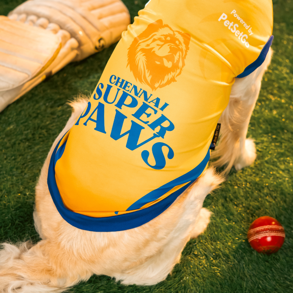 Pet Set Go Chennai Super Paws IPL Jersey for Dogs (Yellow) | Indian Pet League