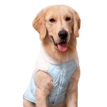 Pets Way Reversible Cozy Quilt Fur Winter Jacket for Dogs (Sky Blue)