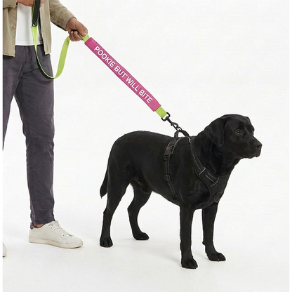 Funny Leash Sleeves for Dogs and Cats (Pink)