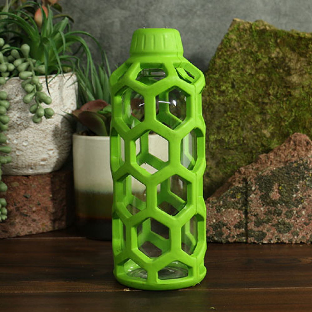 JW Holee Water Bottle Toy for Dogs (Green)