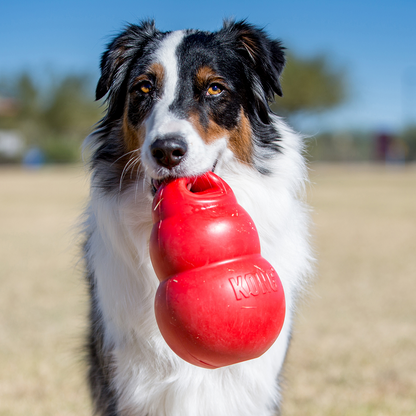 Kong Bounzer Toy for Dogs (Red)