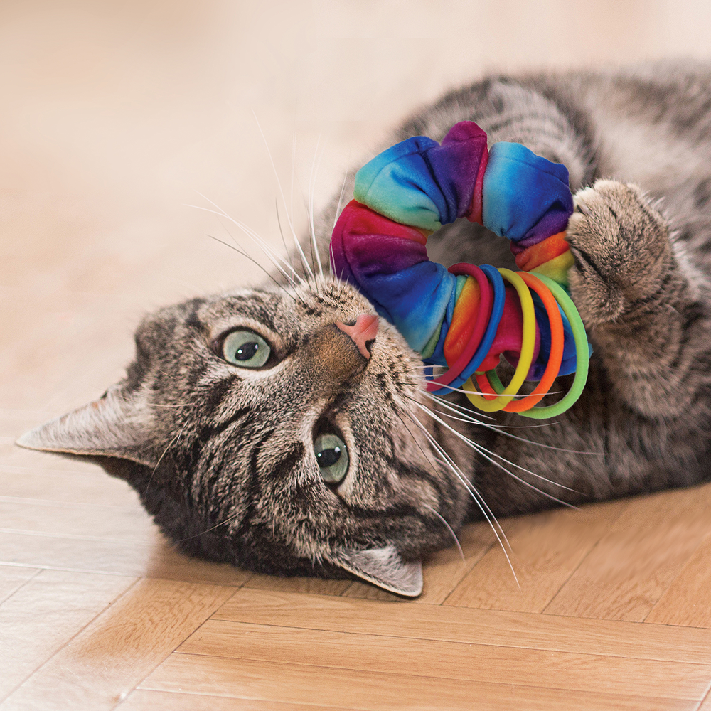 Kong Cat Active Scrunchie Toy for Cats (Multicolour)