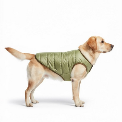 Woofiezz Warm & Comfortable Winter Jackets for Dogs and Cats (Orange/Olive Green)