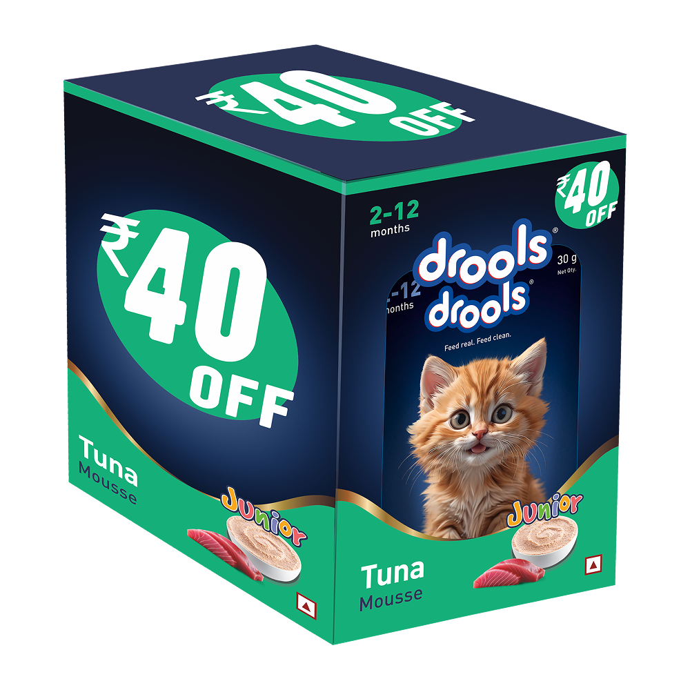 Drools Tuna Mousse Kitten Cat Wet Food