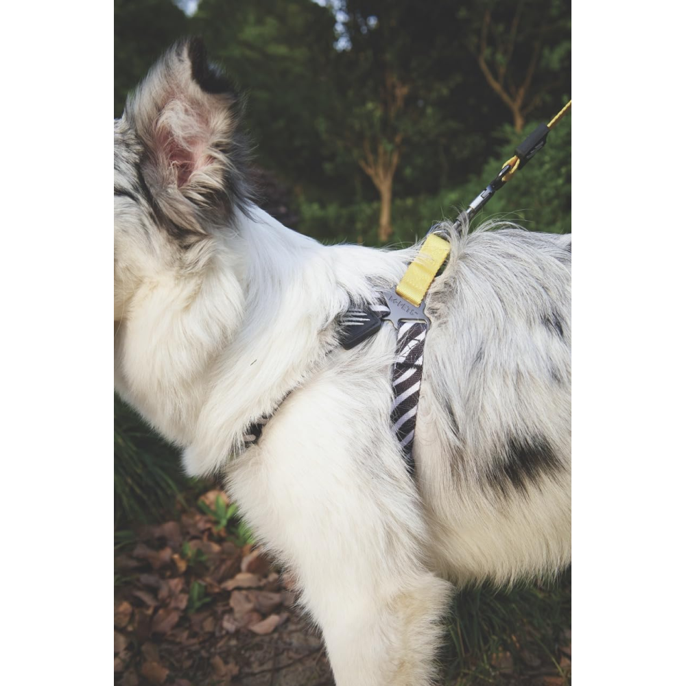 M Pets Wild Safari Harness for Dogs