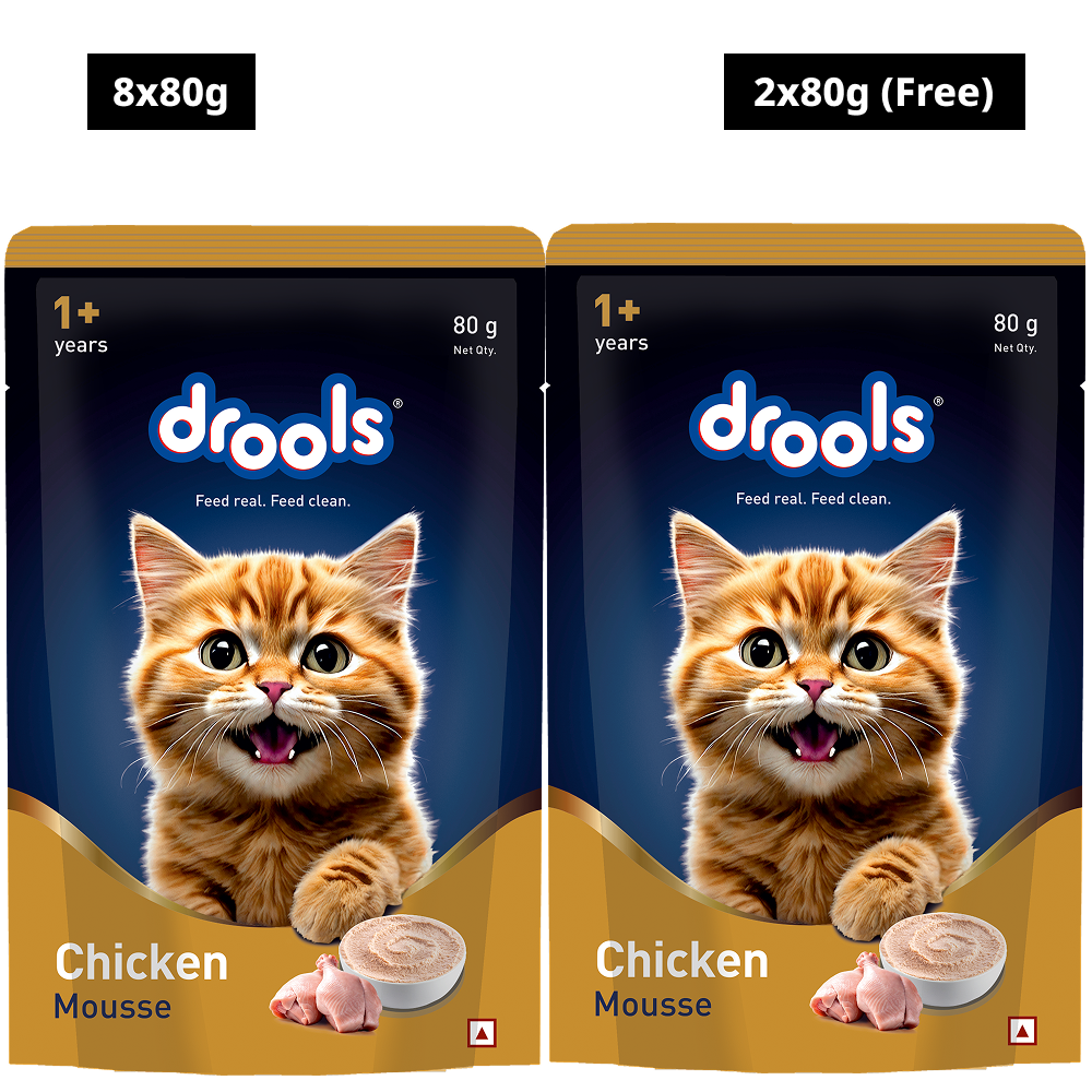 Drools Chicken Mousse Adult Cat Wet Food