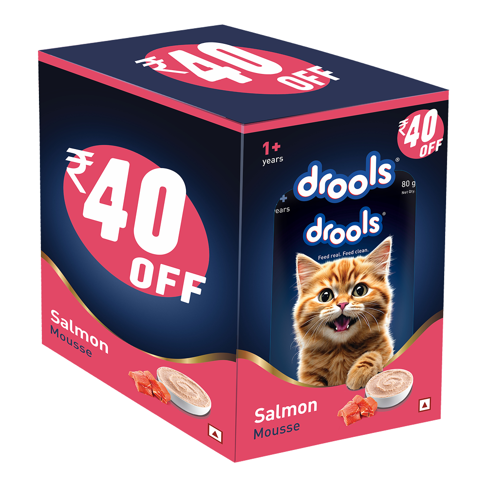 Drools Salmon Mousse Adult Cat Wet Food