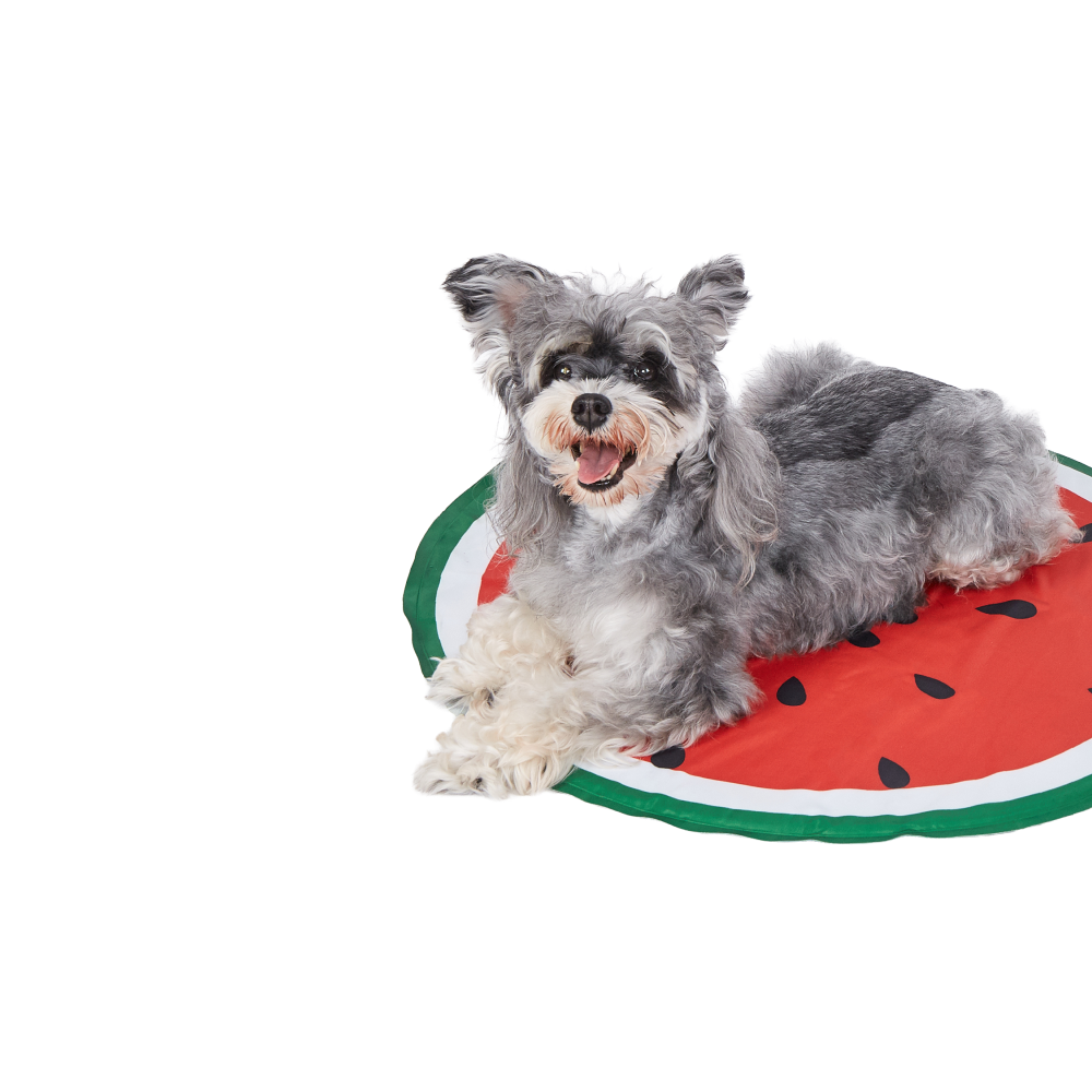 Fofos Watermelon Cooling Mat for Dogs & Cats (Green/Red)