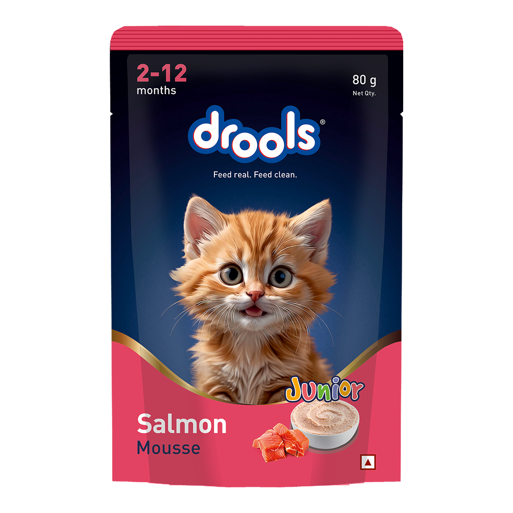 Drools Salmon Mousse Kitten Cat Wet Food