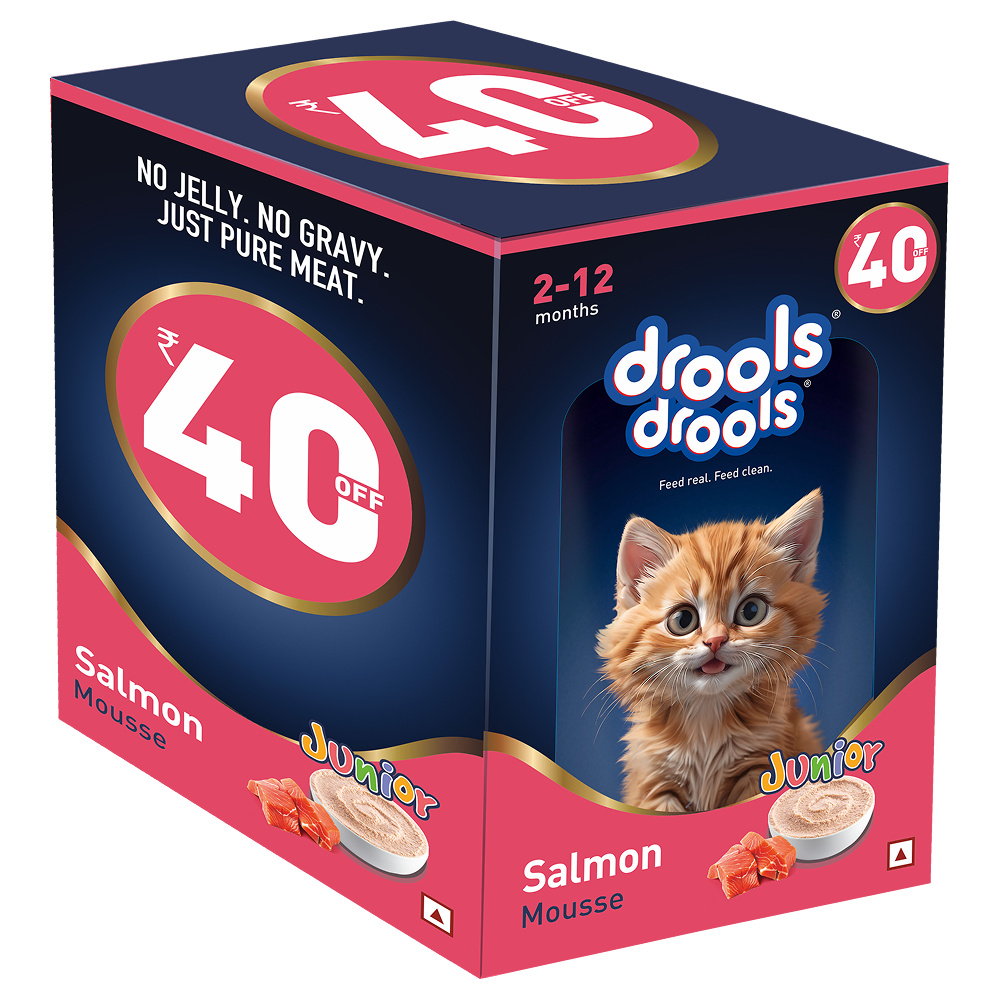 Drools Salmon Mousse Kitten Cat Wet Food