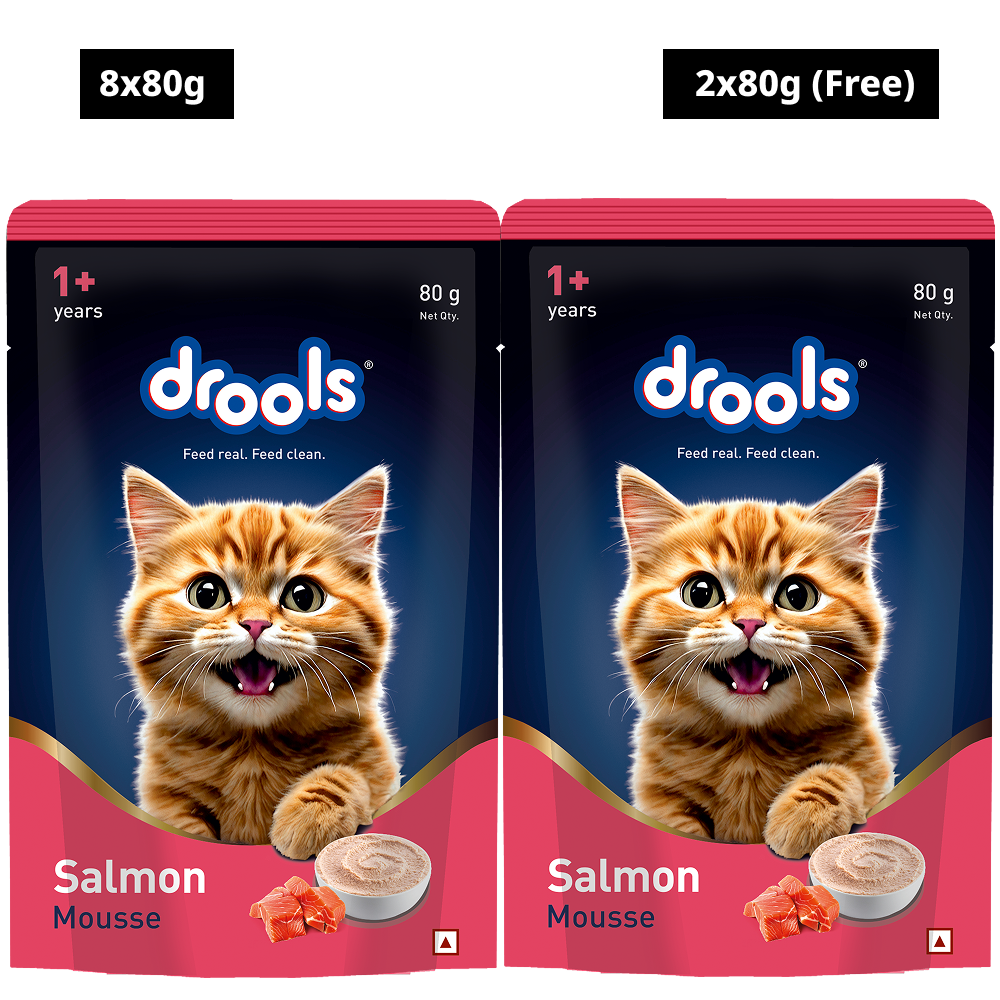 Drools Salmon Mousse Adult Cat Wet Food