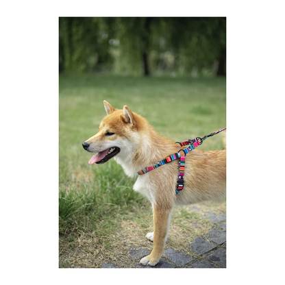 M Pets Urban Style Jazz Stripes Harness for Dogs