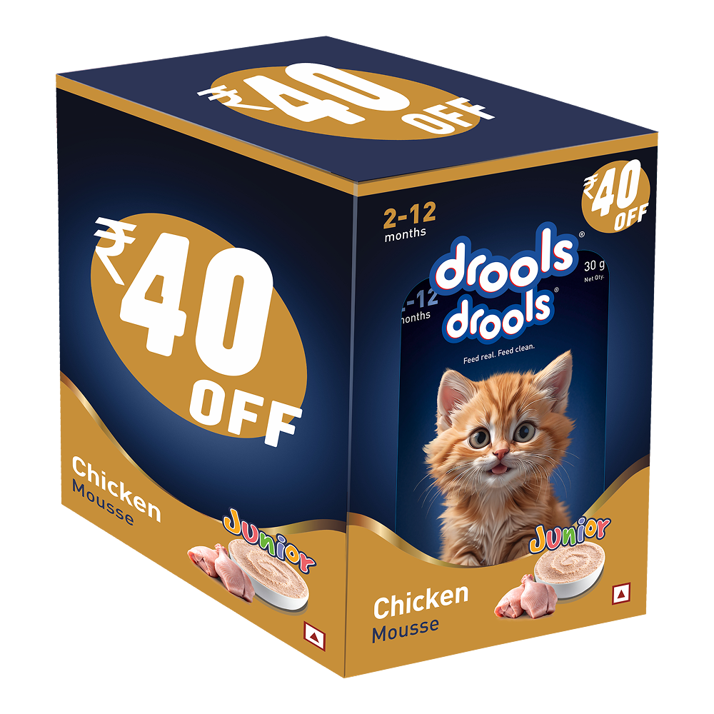 Drools Chicken Mousse Kitten Cat Wet Food