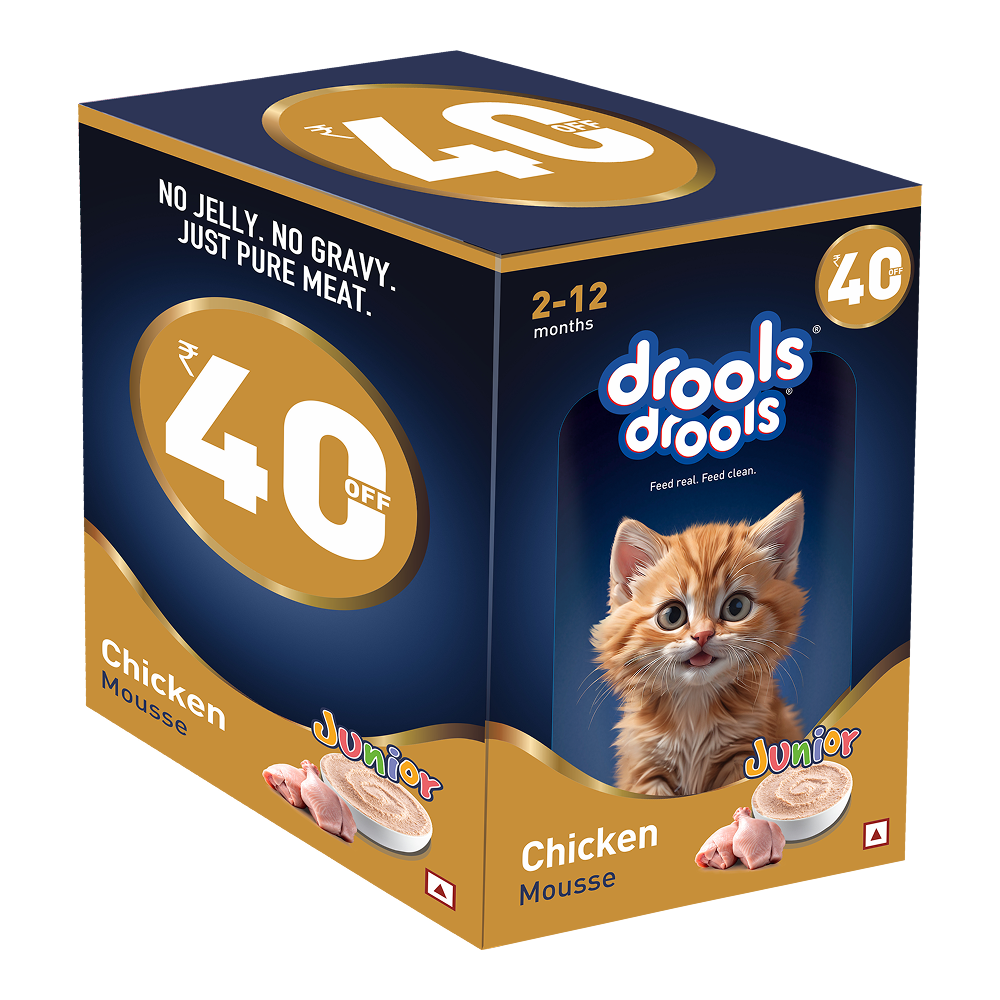 Drools Chicken Mousse Kitten Cat Wet Food