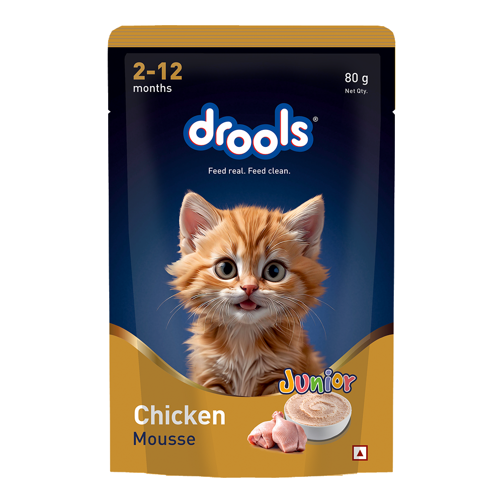 Drools Chicken Mousse Kitten Cat Wet Food