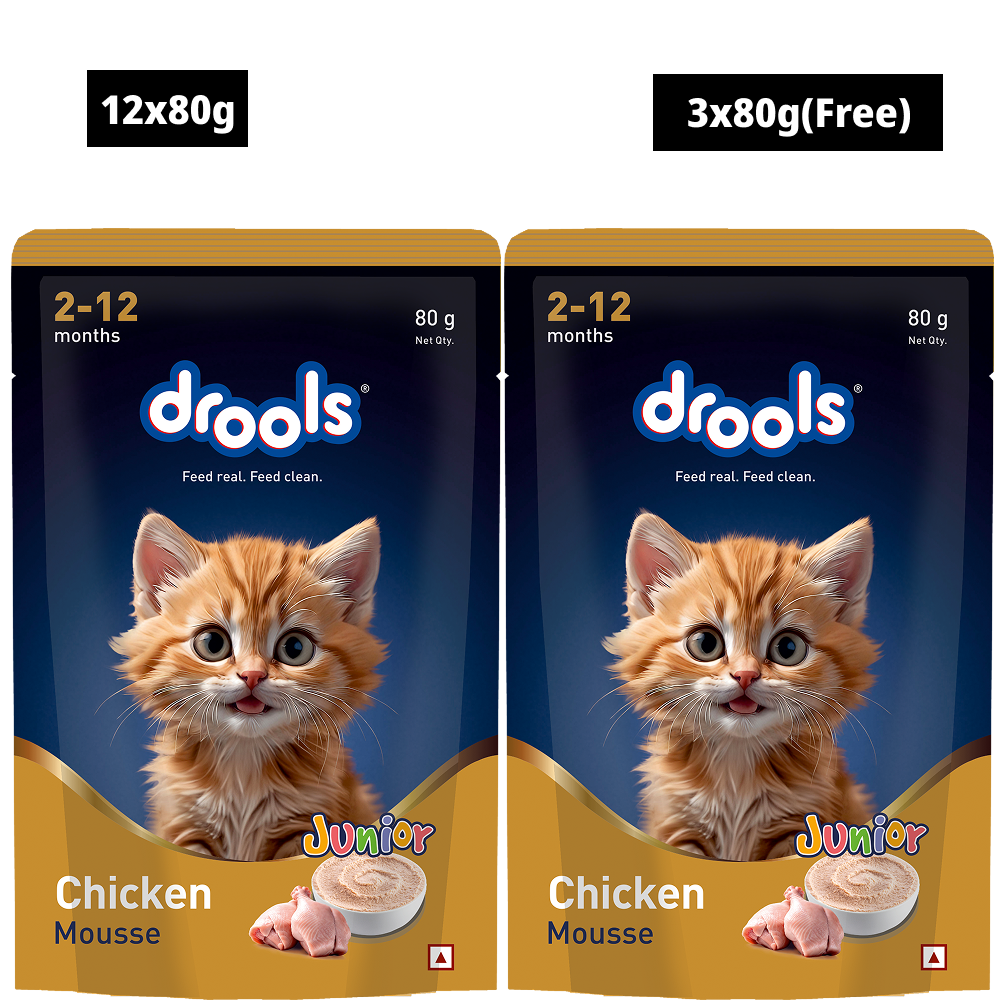 Drools Chicken Mousse Kitten Cat Wet Food
