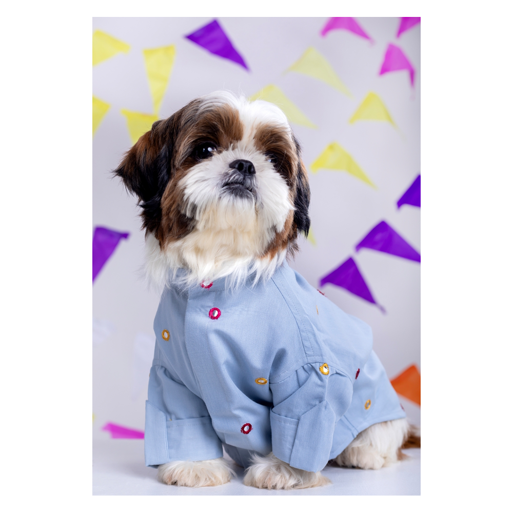 15buttons Mirrorwork Kurta for Dogs (Powder Blue)