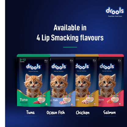 Drools Tuna Mousse Kitten Cat Wet Food