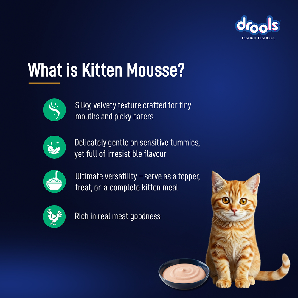 Drools Tuna Mousse Kitten Cat Wet Food
