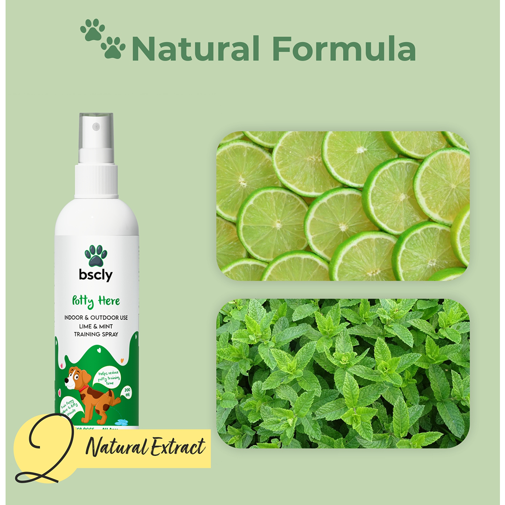 Bscly Fresh Mint Oral Spray for Dogs and Cats
