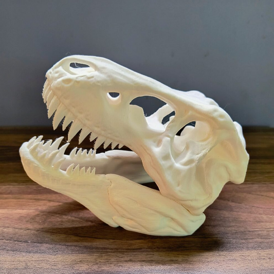 Splashy Fin Trex Skull Miniature for Aquarium
