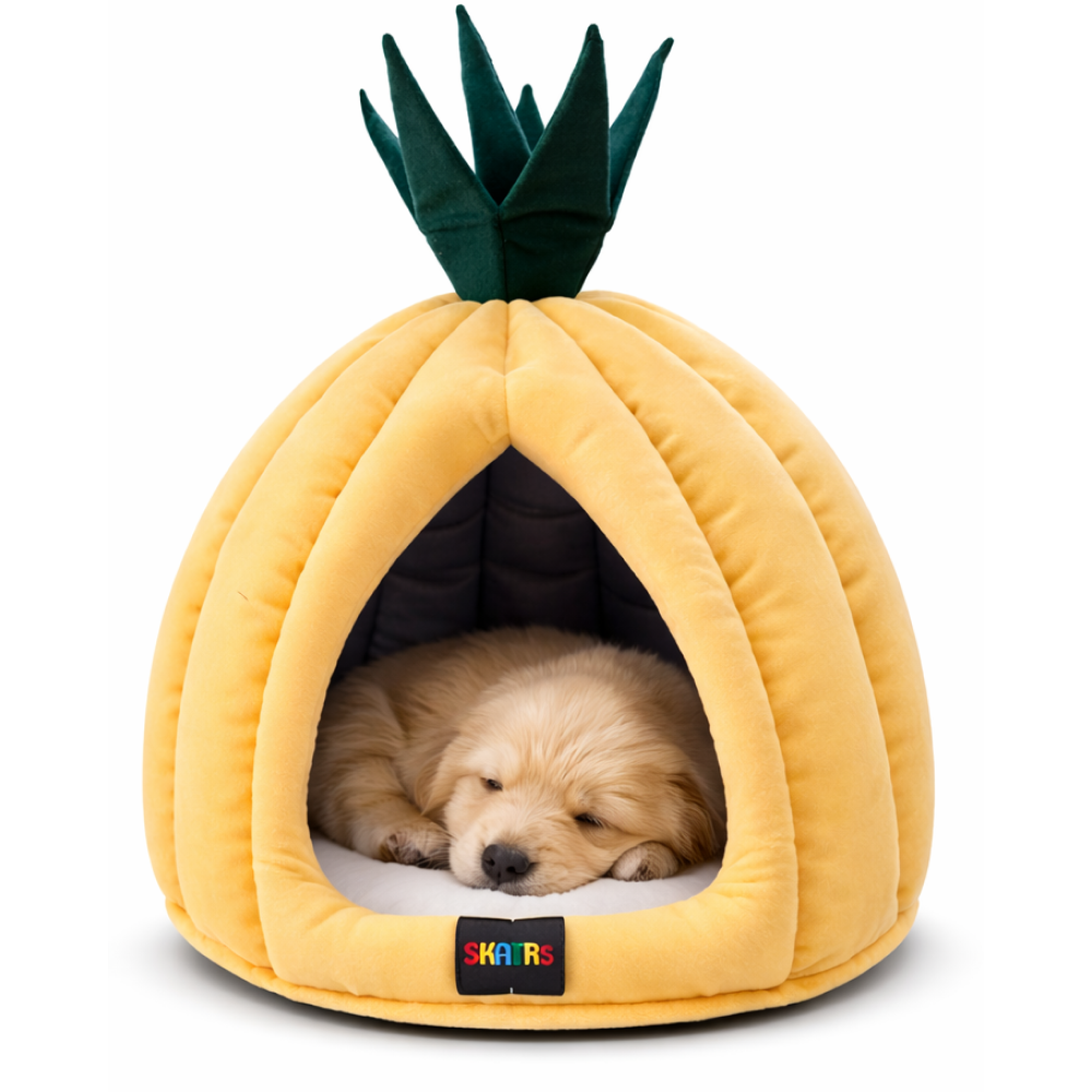 Skatrs Pineapple House for Small Dogs and Cats
