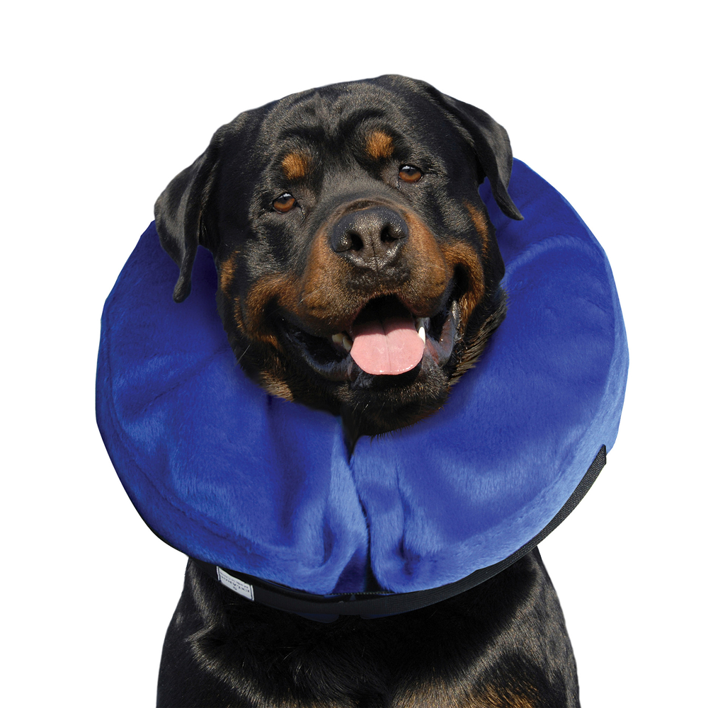 Kong E Collar Cloud Collar for Dogs (Blue)