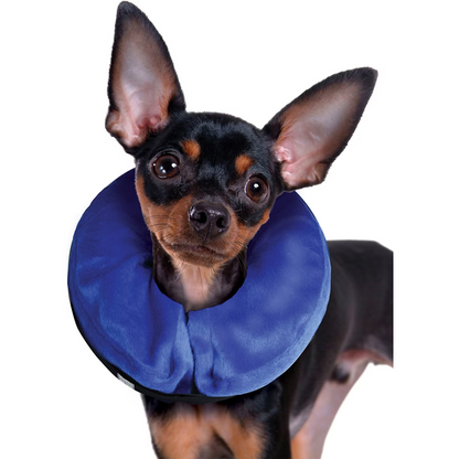 Kong E Collar Cloud Collar for Dogs (Blue)
