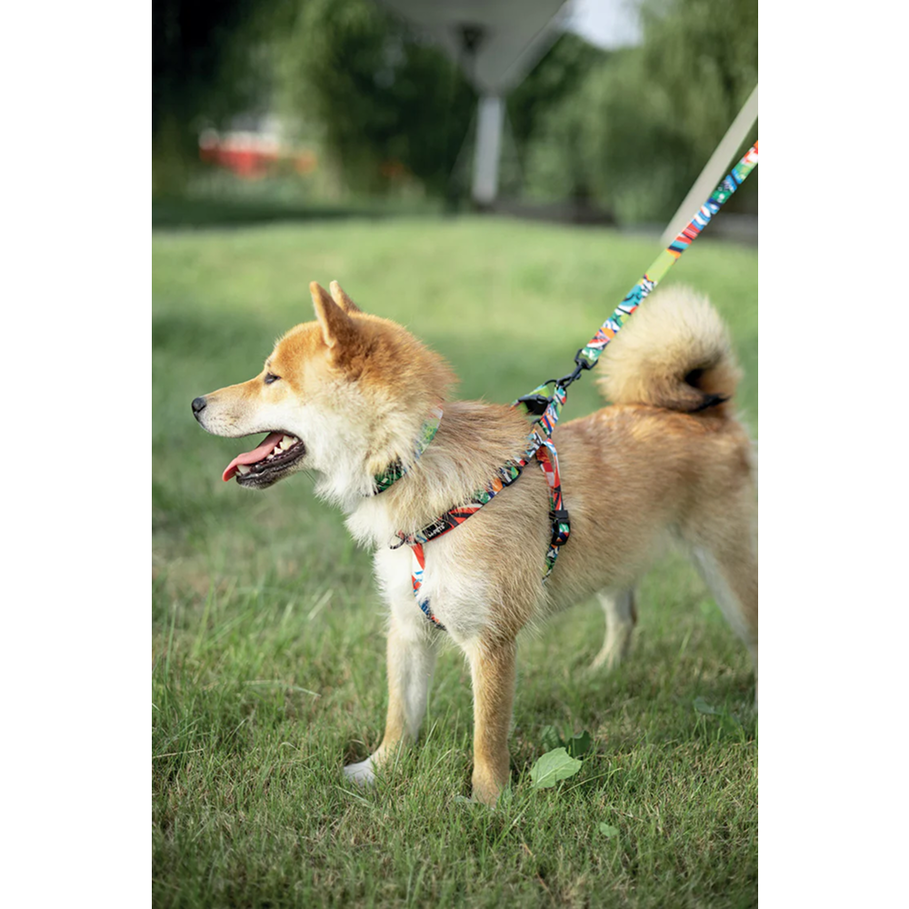 M Pets Urban Style Freestyle Harness for Dogs