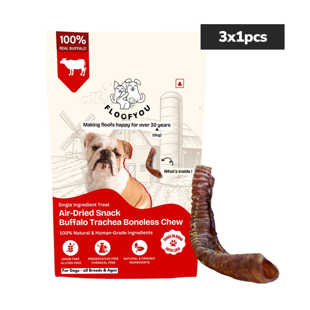Floofyou Air Dried Buffalo Trachea Boneless Dental Chew Dog Treats