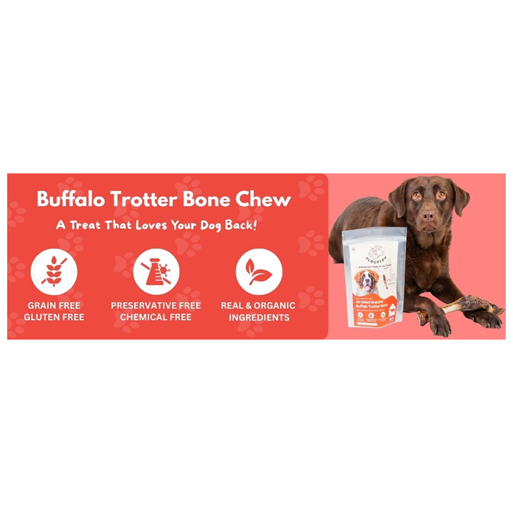 Floofyou Air Dried Buffalo Trotter Bone Dental Chew Dog Treats