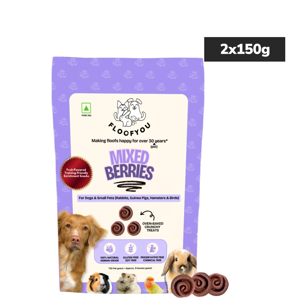 Floofyou Mixed Berries Vegan Oven Baked Cookie Dog Treats