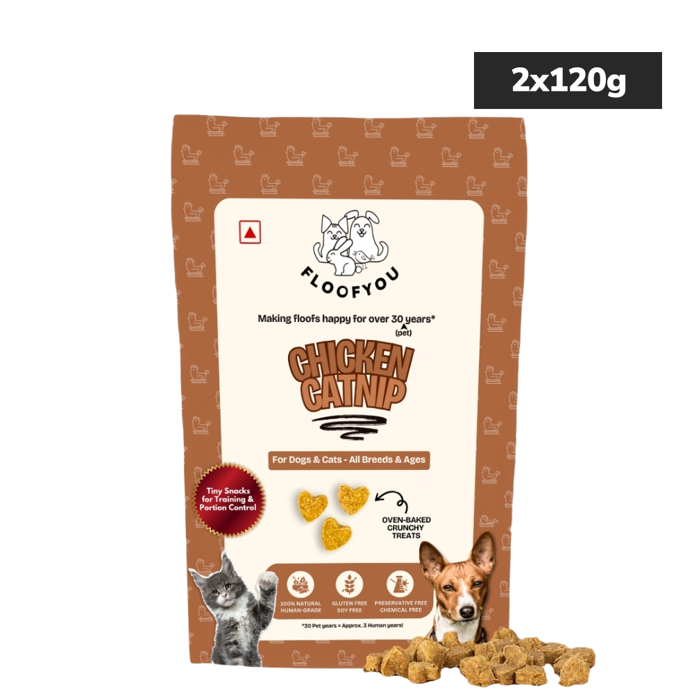 Floofyou Chicken Catnip Oven Baked Cookie Dog Treats