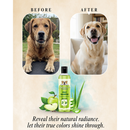 Dr. Chelsea's Green Apple Fruit Conditing Shampoo for Cats & Dogs
