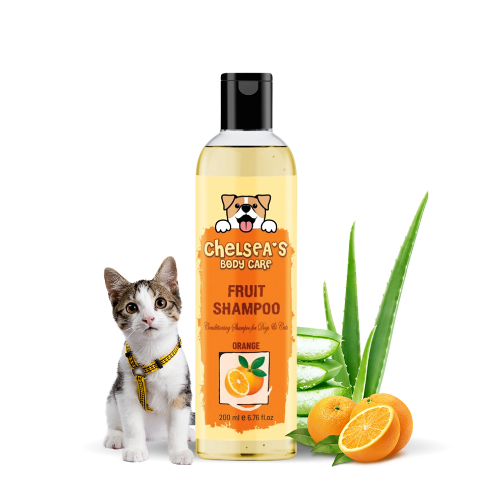 Dr. Chelsea's Orange Fruit Conditing Shampoo for Cats & Dogs
