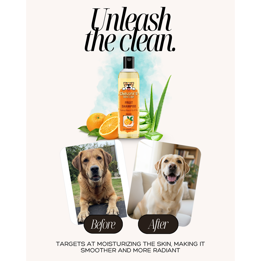 Dr. Chelsea's Orange Fruit Conditing Shampoo for Cats & Dogs