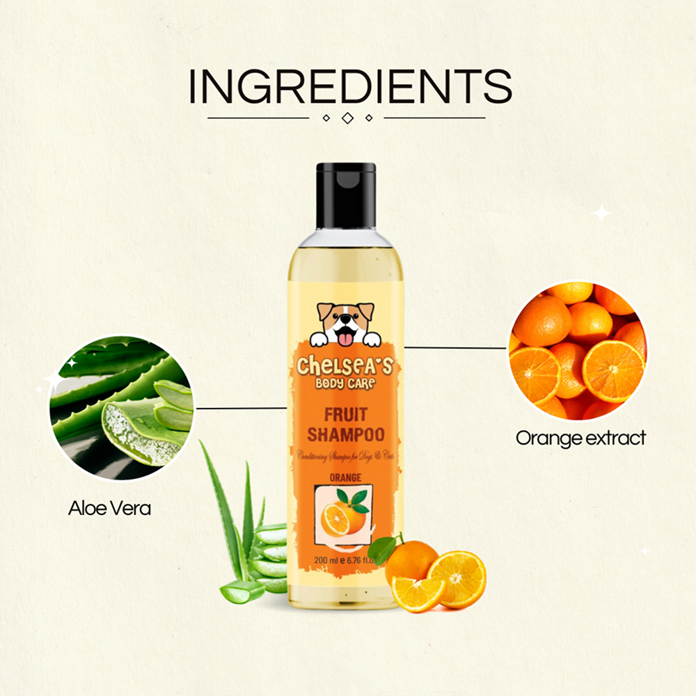 Dr. Chelsea's Orange Fruit Conditing Shampoo for Cats & Dogs