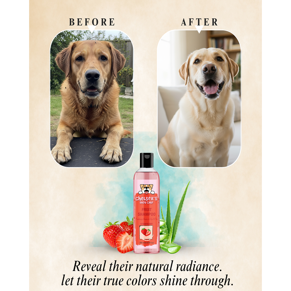 Dr. Chelsea's Strawberry Fruit Conditing Shampoo for Cats & Dogs