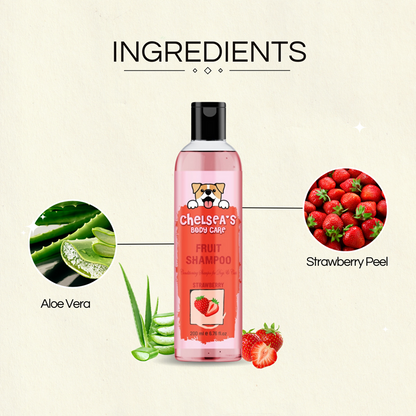 Dr. Chelsea's Strawberry Fruit Conditing Shampoo for Cats & Dogs
