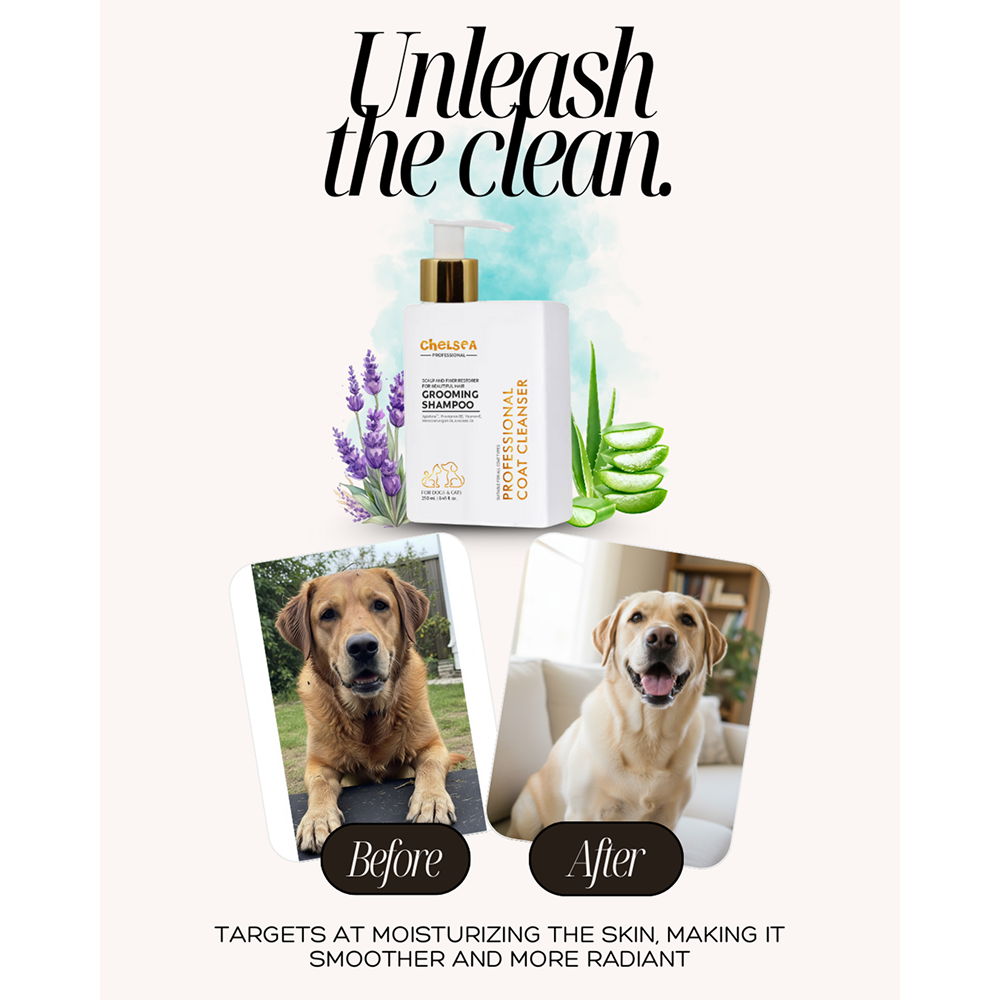 Dr. Chelsea's Professional Grooming Shampoo for Cats & Dogs