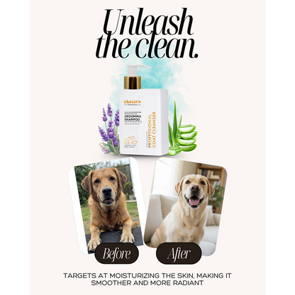 Dr. Chelsea's Professional Grooming Shampoo for Cats & Dogs