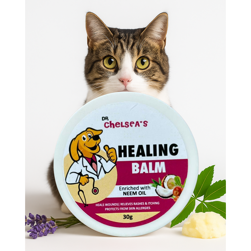 Dr. Chelsea's Neem Oil Enriched Healing Balm for Dog & Cat