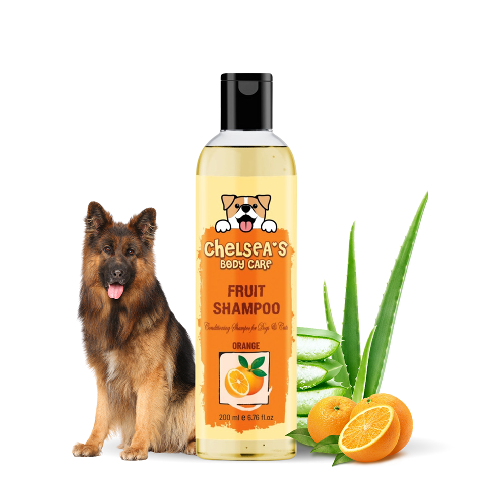 Dr. Chelsea's Orange Fruit Conditing Shampoo for Cats & Dogs