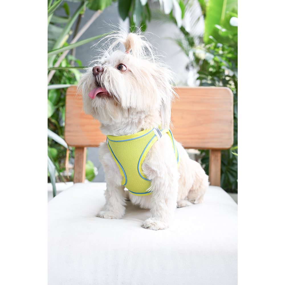 Pets Way Air Mesh Harness for Puppies & Small Dogs (Neon)