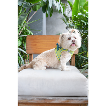 Pets Way Air Mesh Harness for Puppies & Small Dogs (Neon)