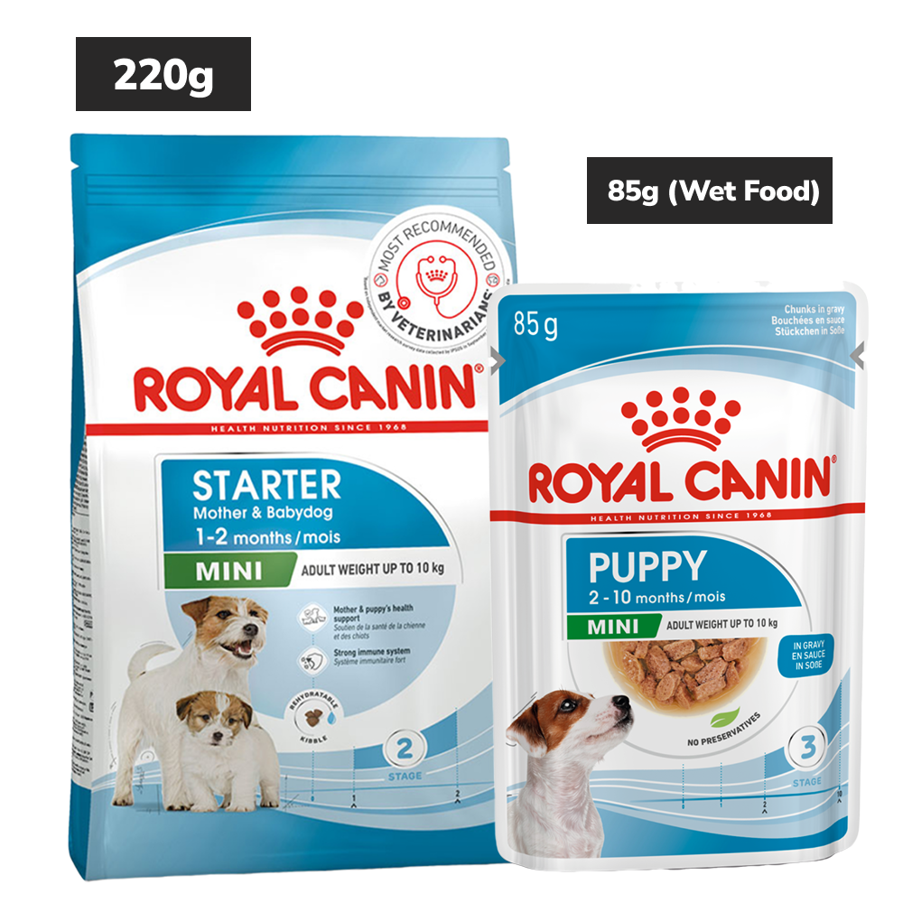 Royal Canin Mini Starter, Mother & Babydog Dry Food