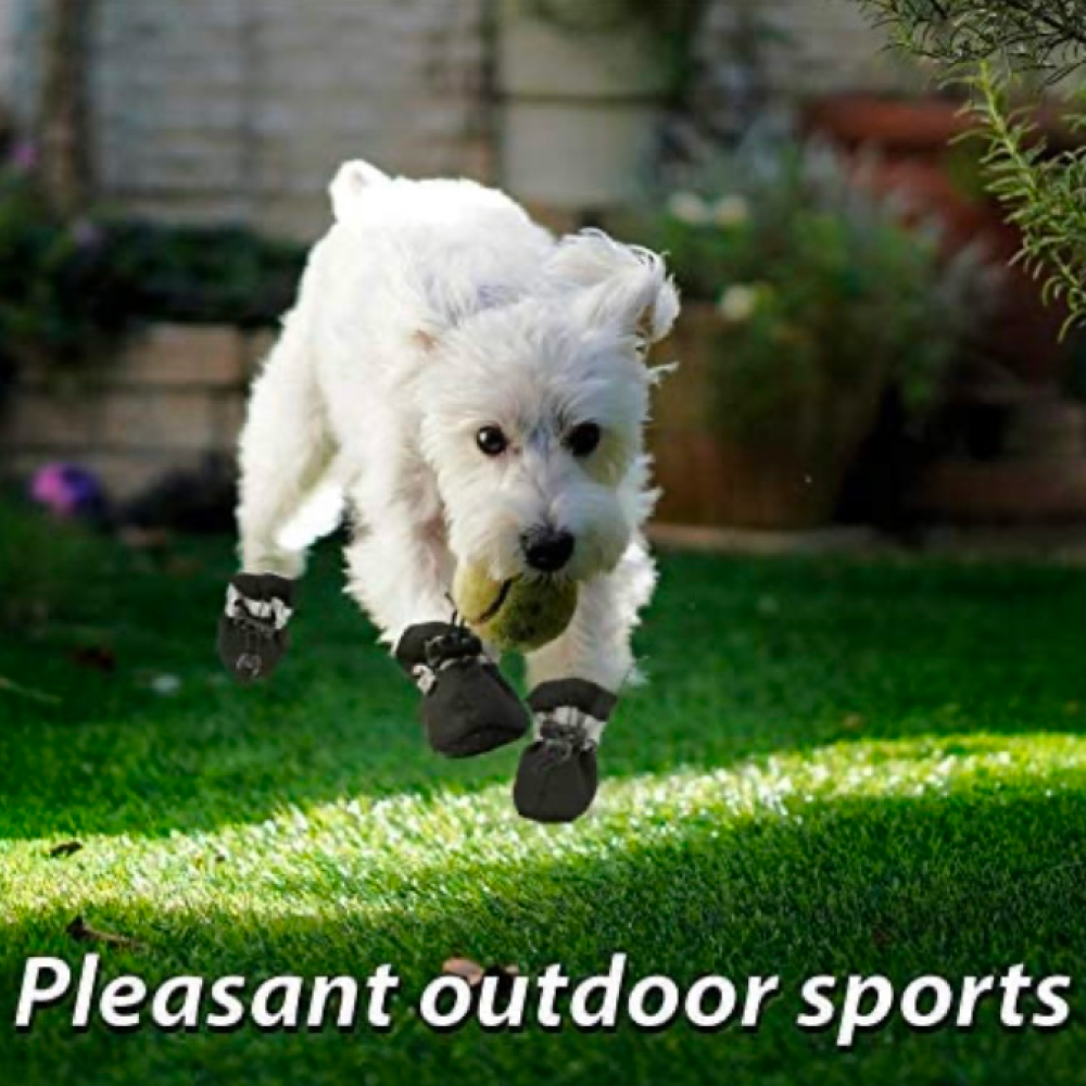 KUTKUT Boots for Dogs (Black)