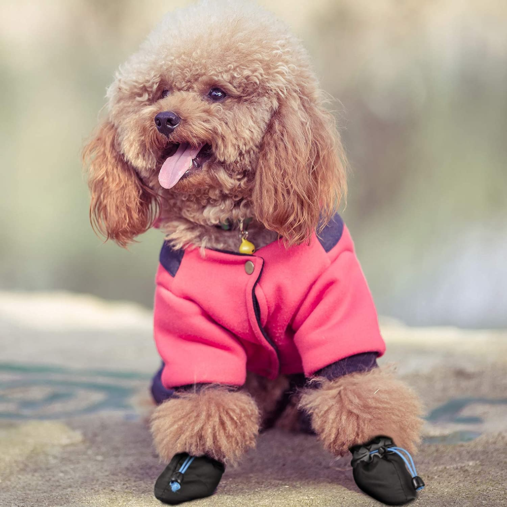 KUTKUT Paw Protector Boots for Small Dogs (Black)