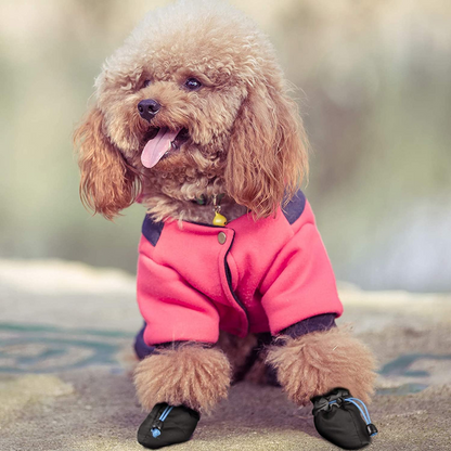 KUTKUT Paw Protector Boots for Small Dogs (Black)