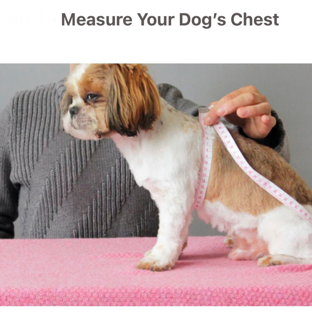 KUTKUT Cute Stripe Pattern Stretchable Shirt for Small Dogs & Cats